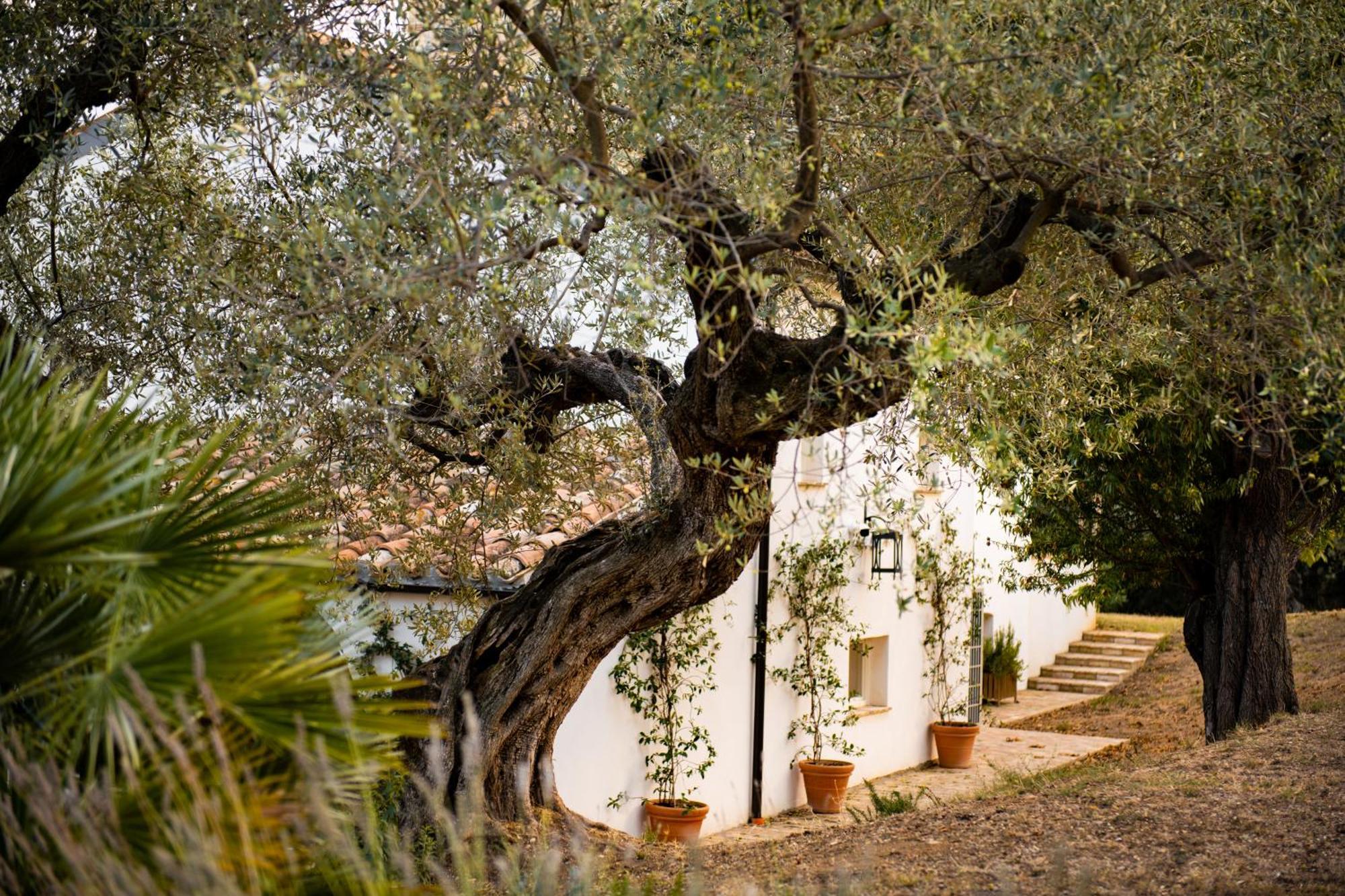 Casale Delle Lavande Citta Sant'Angelo Eksteriør bilde